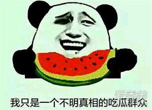 网友吃瓜什么意思啊,网络热词背后的文化现象